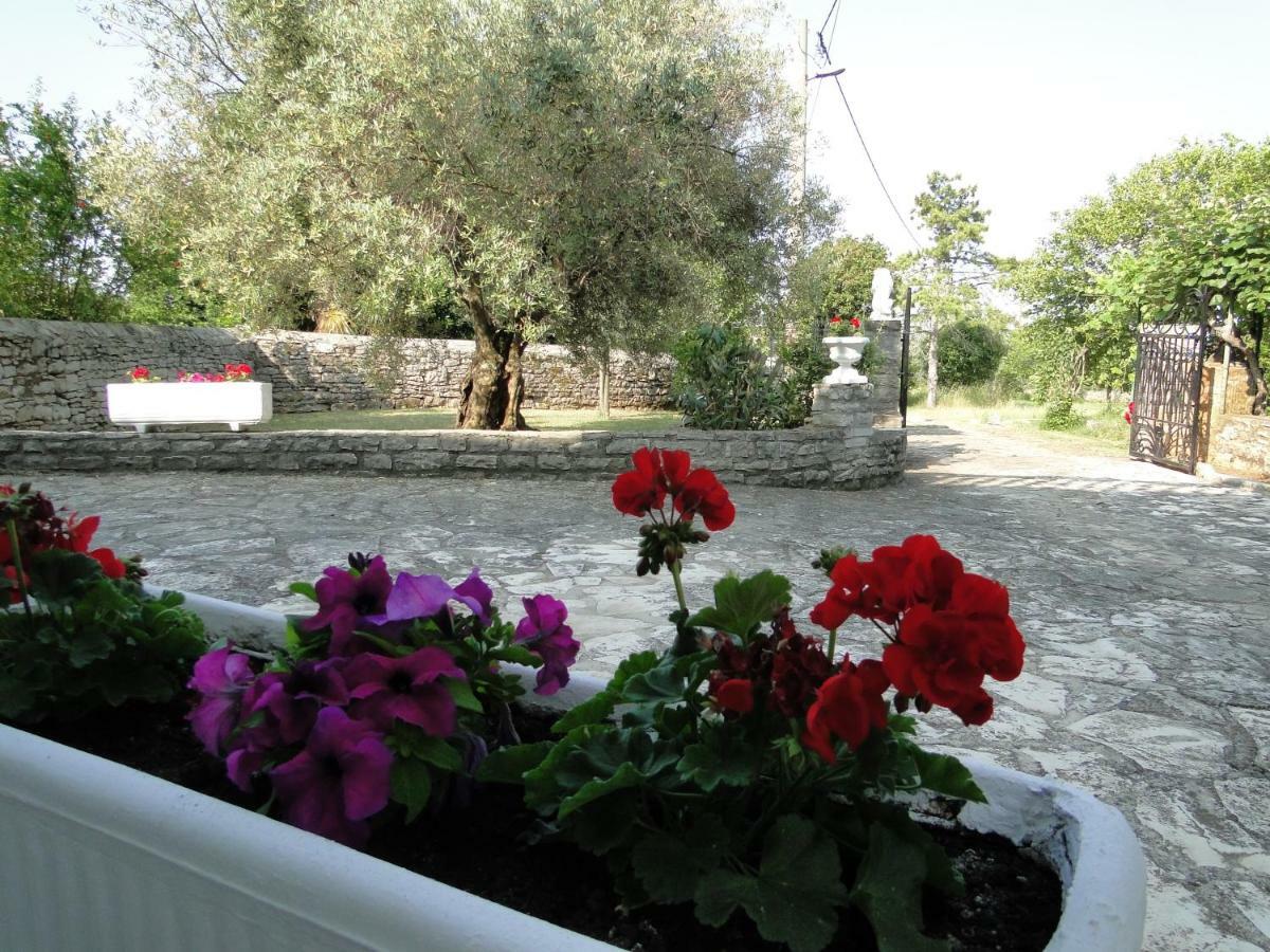 Apartments Villa Maran Umag Dış mekan fotoğraf